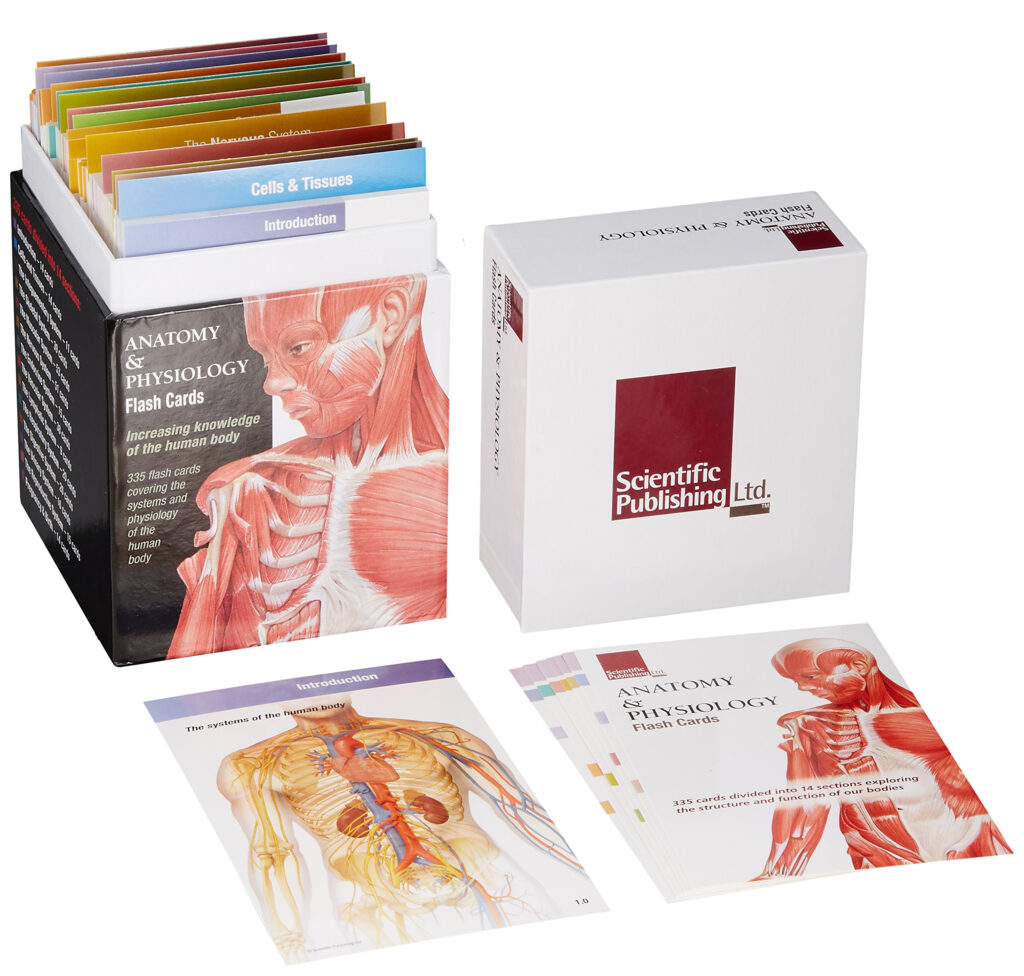 anatomy-physiology-flash-cards-cards-amazon-anatomy-worksheets
