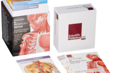 Anatomy Physiology Flash Cards Cards Amazon