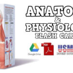 Anatomy Physiology Flash Cards PDF Free Download Direct Link