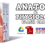 Anatomy Physiology Flash Cards PDF Free Download Direct Link