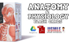 Anatomy Physiology Flash Cards PDF Free Download Direct Link