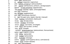 Anatomy Prefixes And Suffixes