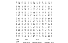 Anatomy Word Search Printable Word Search Printable