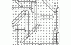 Anatomy Word Search Puzzle