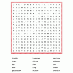 Anatomy Word Search Puzzle Science Words Free Printable Puzzles