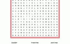Anatomy Word Search Puzzle Science Words Free Printable Puzzles