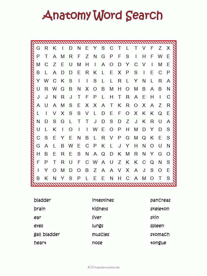 Anatomy Word Search Puzzle Science Words Free Printable Puzzles 