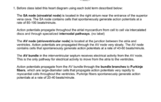 Answer Key Diagram Of The Heart Worksheet Diagram Media