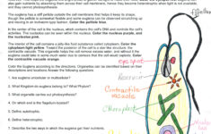 Apologia Biology Experiments 3 2 3 3 PotterVilla Academics