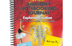 Apologia Exploring Creation With Anatomy And Physiology Junior