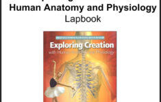 Apologia Exploring Creation With Human Anatomy And Physiology Lapbook