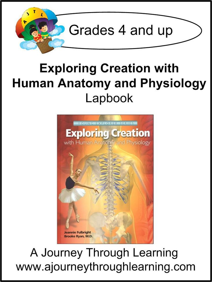Apologia Exploring Creation With Human Anatomy And Physiology Lapbook 
