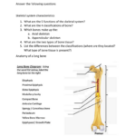 Appendicular Skeleton Worksheet Answers Chapter 5 Worksheet