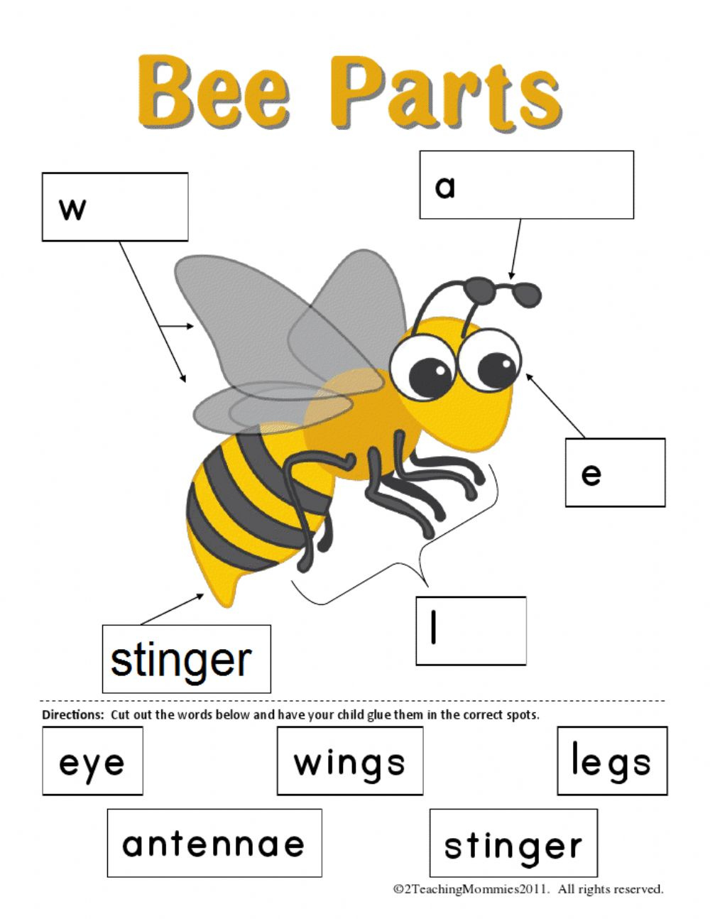 Bee Body Parts Worksheet