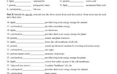 Biological Molecules Worksheet Five Gigantic Influences Of