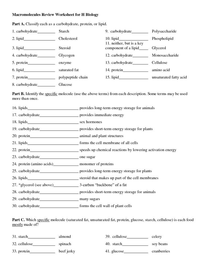 Macromolecules Review Worksheet For Anatomy And Physiology