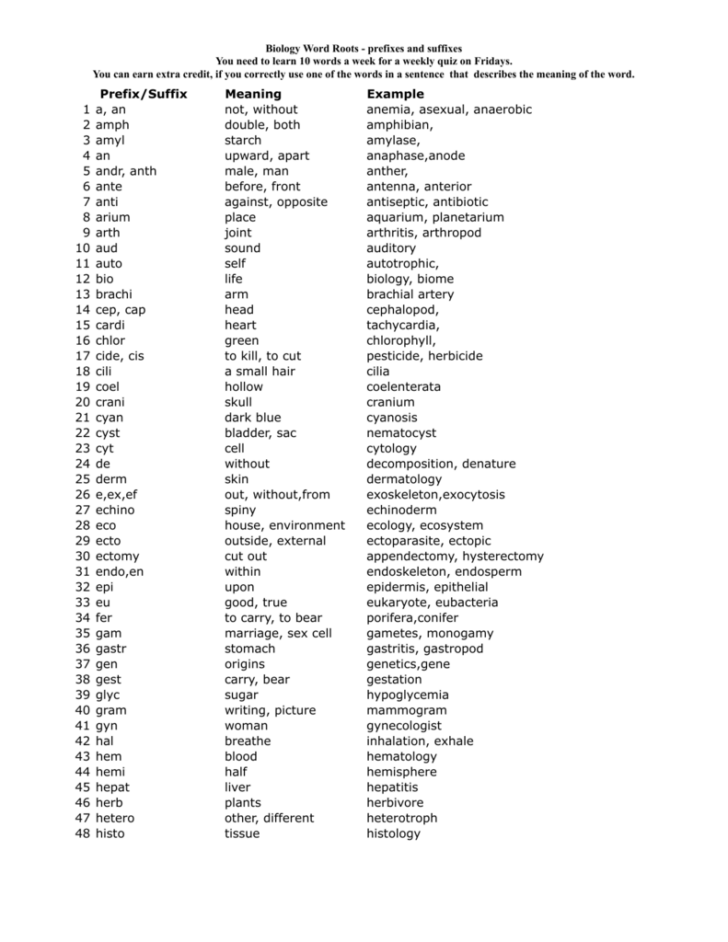 Biology Word Roots Prefixes Suffixes Prefixes And Suffixes Root ...