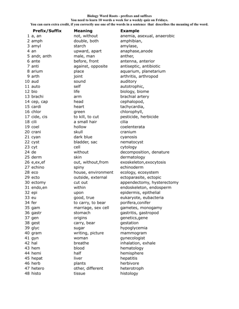 biology-word-roots-prefixes-suffixes-prefixes-and-suffixes-root