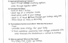 Blood Typing Game Worksheet Answers Worksheet