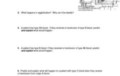 Blood Typing Game Worksheet Answers Worksheet