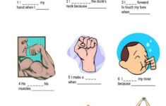 Body movement exercise vocabulary expressions Eslflow