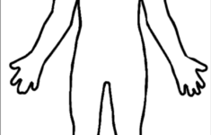 Body Outline Diagram ClipArt Best