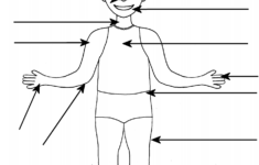 Body Part Worksheet Boy And Girl A To Z Teacher Stuff Printable