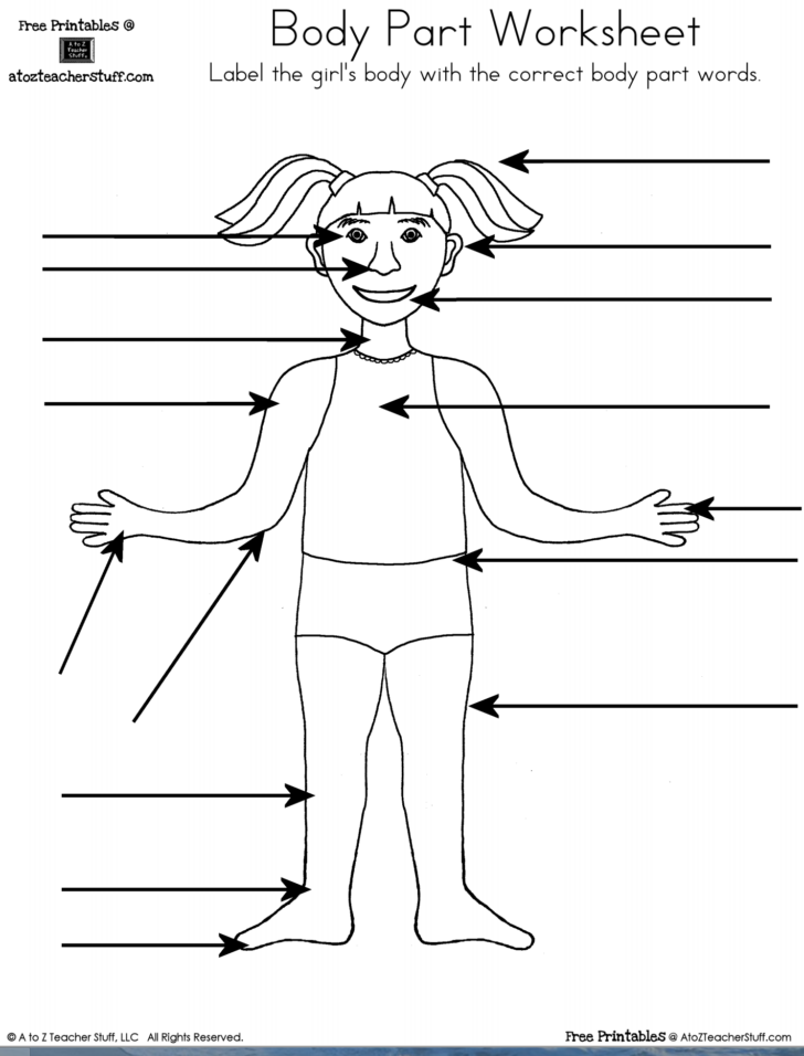 Body Part Labeling Worksheet