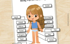 Body Parts Human Anatomy Matching Puzzle Worksheets Girl Etsy