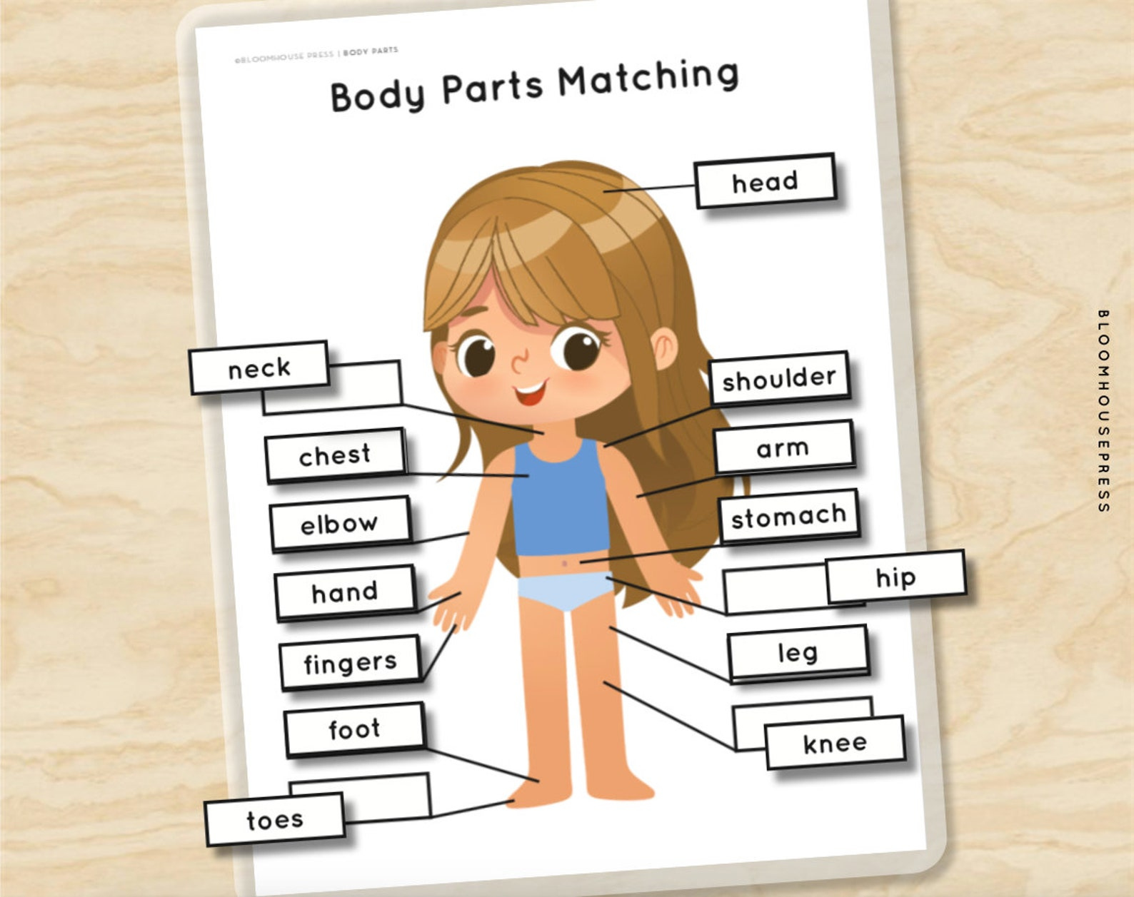 Body Parts Human Anatomy Matching Puzzle Worksheets Girl Etsy