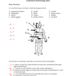 Body Planes And Anatomical Directions Worksheet Answers