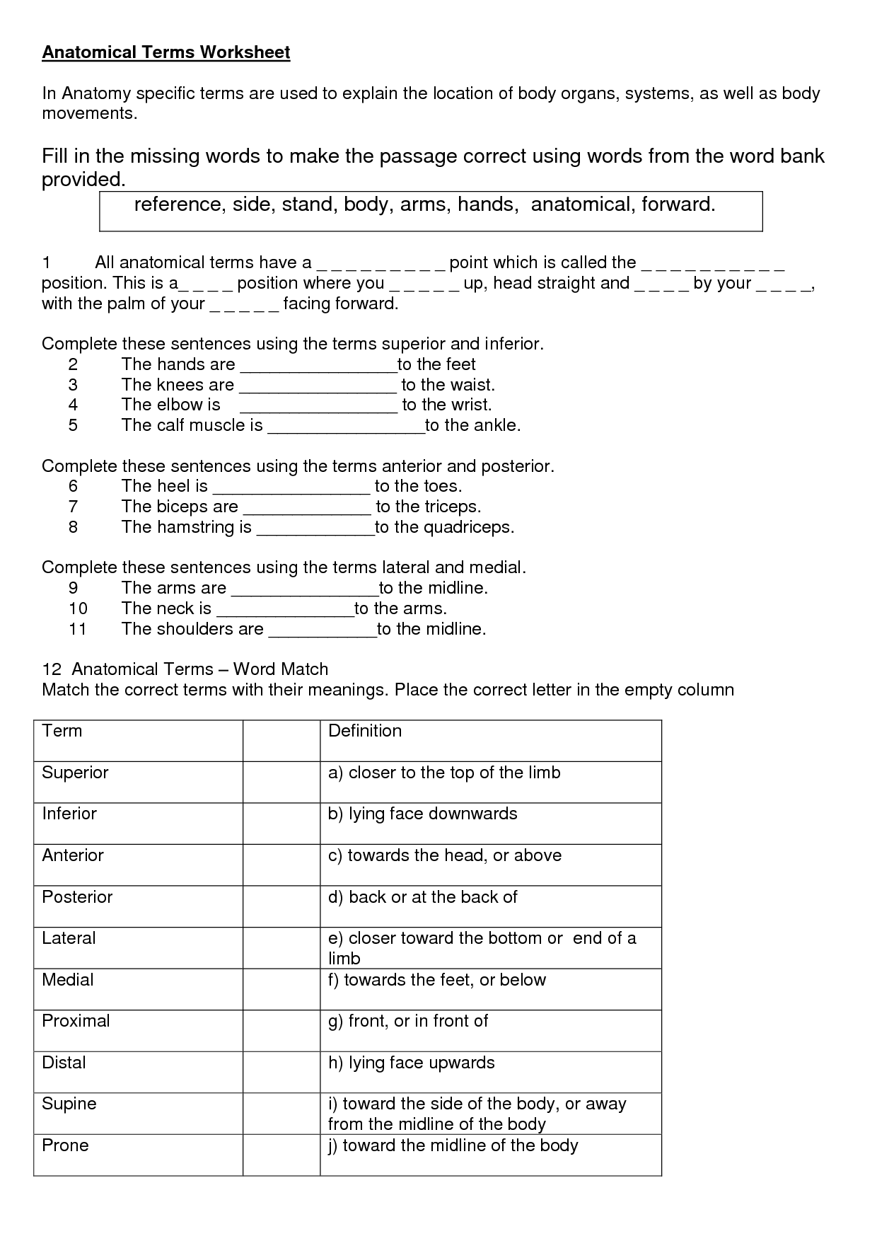 Body Planes Worksheet Orientation And Directional Terms Anatomy Quiz 
