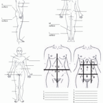 Body Regions And Terms To Know Anatomy And Physiology Biology