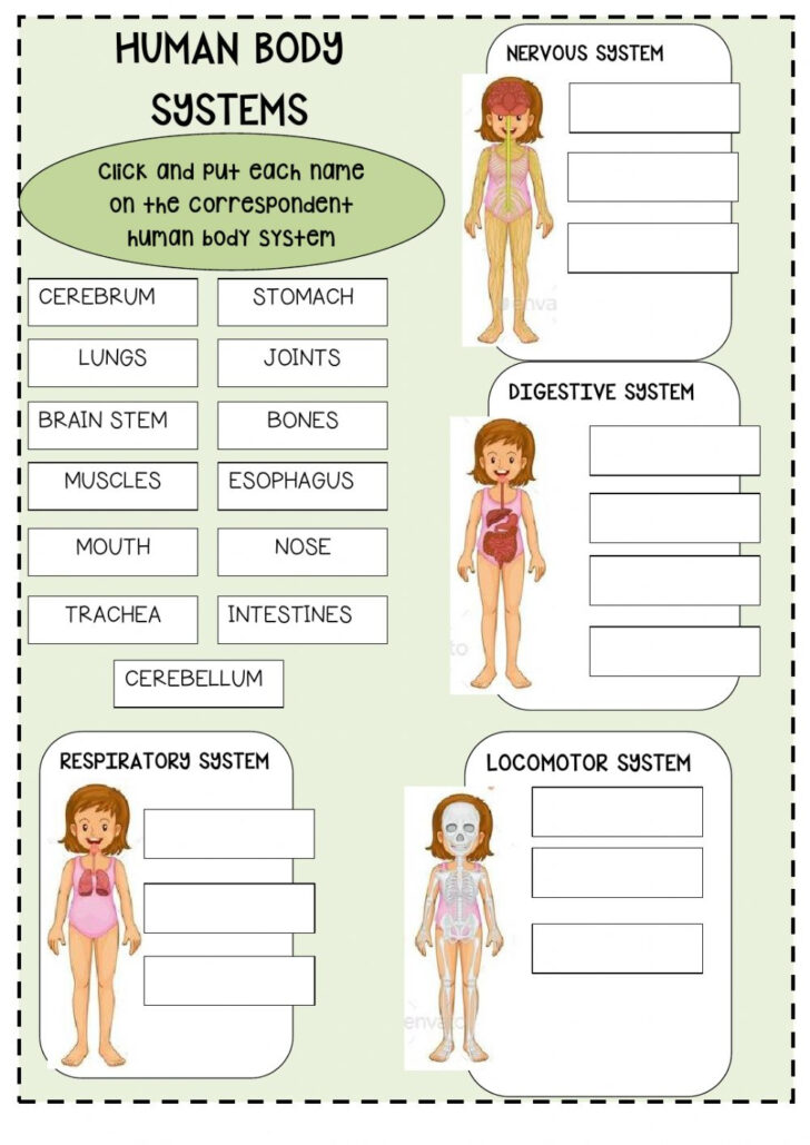 free-printable-body-parts-worksheets-anatomy-worksheets