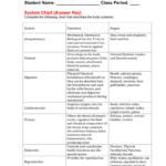 Body Sytem Chart Answer Key