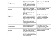 Body Sytem Chart Answer Key