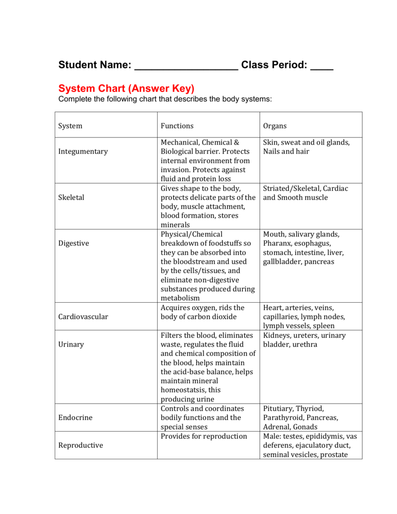 Tissue Chart Answer Key Printable Anatomy Worksheets