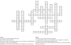 Bone Anatomy Crossword Bone Basics And Bone Anatomy Perbedaan
