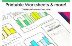 Books Of The Bible Printable Worksheets More The Natural