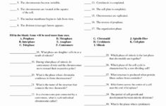 Cell Division Worksheet Answers New 14 Best Of Mitosis Worksheet