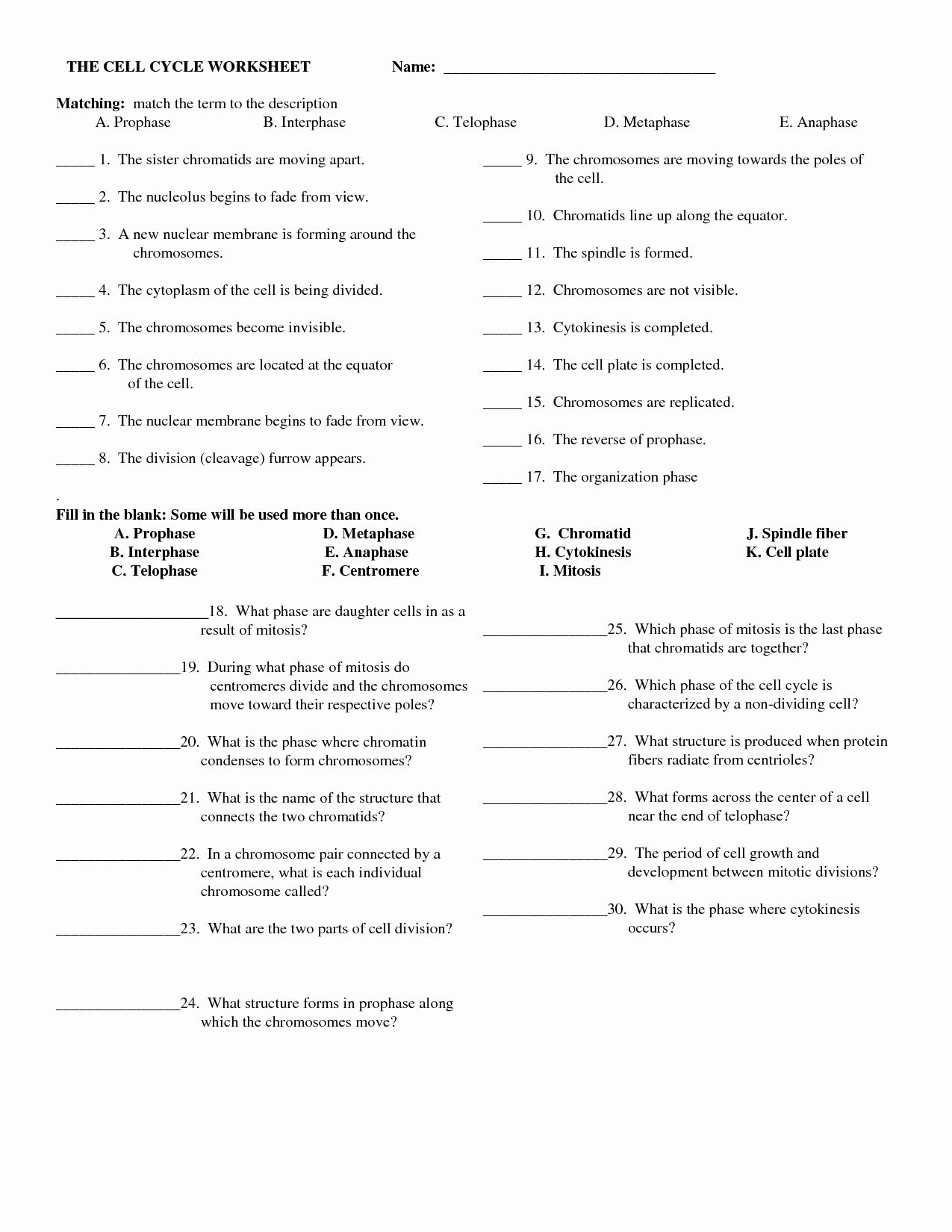 Cell Division Worksheet Answers New 14 Best Of Mitosis Worksheet 