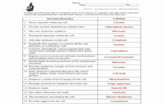 Cells And Organelles Worksheet Elegant Cell Organelles Worksheet Answer