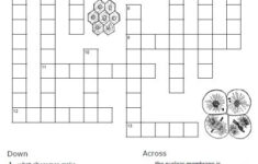 Cells Worksheets Biology Worksheet Cells Worksheet Science Worksheets