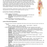 Chapter 1 Introduction To Human Anatomy And Physiology Worksheet