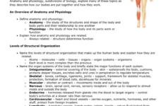 Chapter 1 Introduction To Human Anatomy And Physiology Worksheet