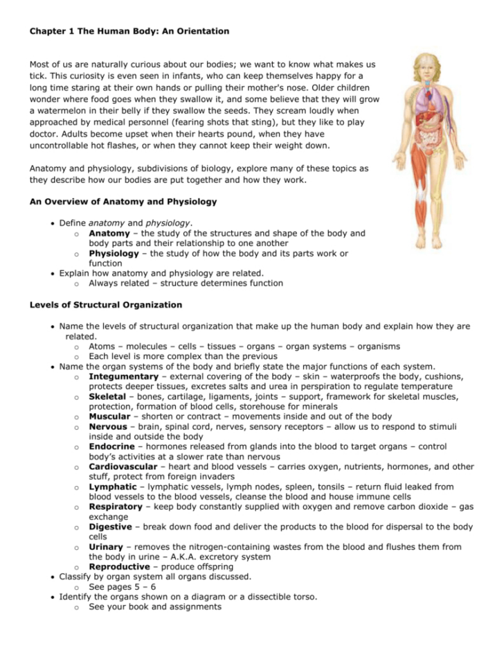 Chapter 1 Introduction To Human Anatomy And Physiology Worksheet Answers