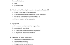 Chapter 1 Introduction To Human Anatomy And Physiology Worksheet