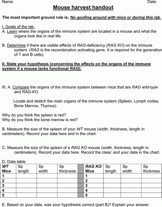 Worksheet Language Of Anatomy Part 2 Generated By CamScanner Anatomy Worksheets