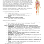 Chapter 1 The Human Body An Orientation Answers Waltery Learning