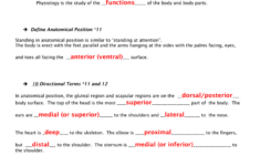Chapter 1 The Human Body An Orientation Worksheet Answers Worksheet List
